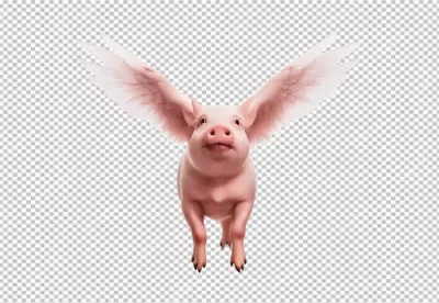 Whimsical Flying Pig with Elegant White Wings Against Clean White Background image
