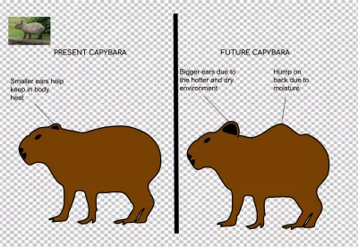 Realistic Capybara Silhouette and Distorted Shape Comparison Illustration on Black image