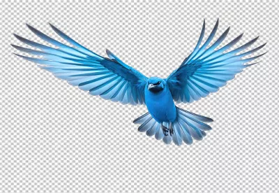 Majestic Blue Bird in Flight with Spread Wings Cutout PNG image