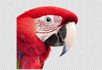 Vibrant Red Macaw Head Close-up PNG Cutout - High-Quality Tropical Parrot Image Download image