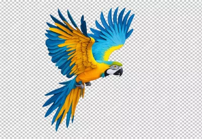 Vibrant Blue and Yellow Macaw Flying PNG Cutout for Tropical Design Projects image
