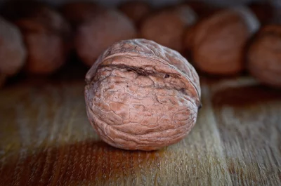 Close-up Single Walnut in Shell on Rustic Wooden Surface for Food Imagery image