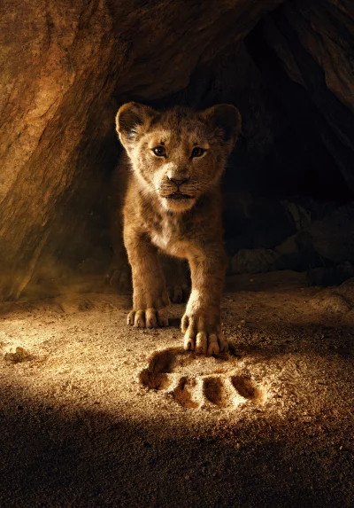 Curious Lion Cub Emerges from Dark Cave Leaving Distinct Paw Print on Sandy Ground image