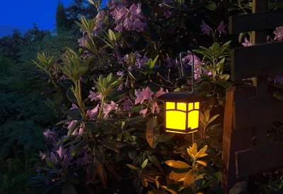 Glowing Solar Lantern Illuminates Vibrant Purple Rhododendron Flowers in Evening Garden image