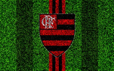 Iconic Flamengo Football Club Crest on Vibrant Green Grass Texture Background image