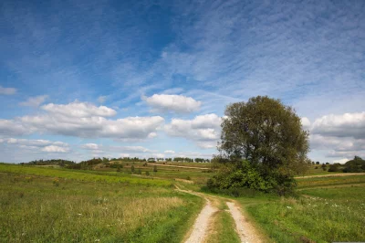 Idyllic rural landscape with winding dirt path through green fields under a cloudy sky image