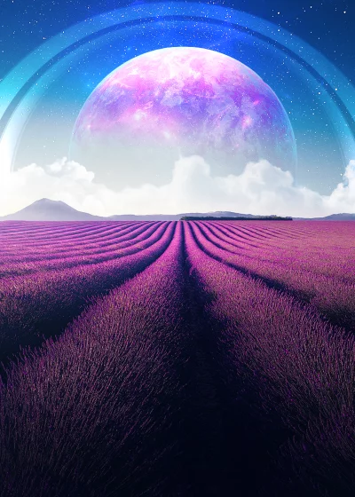 Dreamy Lavender Field and Pink Ringed Planet in Starry Sky image
