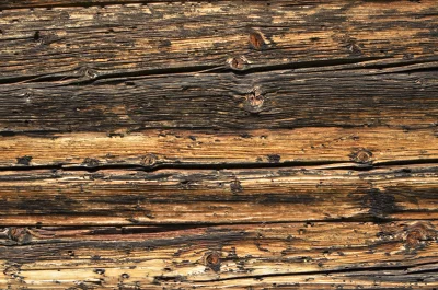 Rustic Timber Planks Wall with Natural Knots and Weathered Grain image