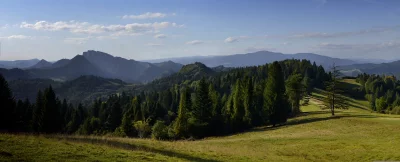 Rolling Green Hills, Dense Pine Forests, and Clear Blue Sky image