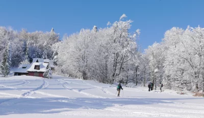 Cross-Country Skiers Enjoying Sunny Winter Mountain Landscape with Snow-Covered Trees image