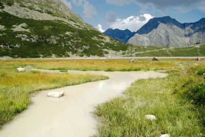 Serene Alpine Meadow with Winding Stream and Majestic Mountains Under Cloudy Sky image