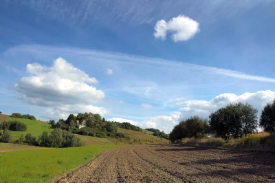 Idyllic Rural Landscape Featuring a Freshly Plowed Field and Green Hills Under a Bright Blue Sky with Fluffy Clouds image