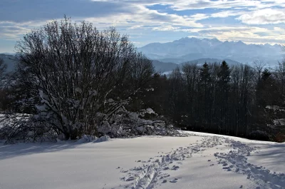 Winter Mountain Landscape with Snow-Covered Peaks and Footprints in Fresh Snow image