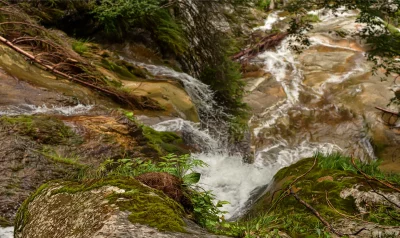 Forest Waterfall Cascading Over Mossy Rocks and Green Foliage image