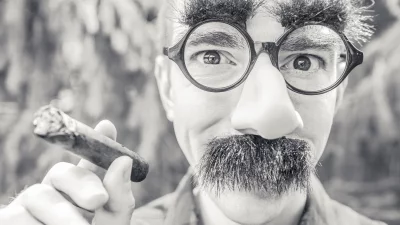 Humorous Retro Portrait with Fake Glasses, Mustache, Nose, and Cigar image