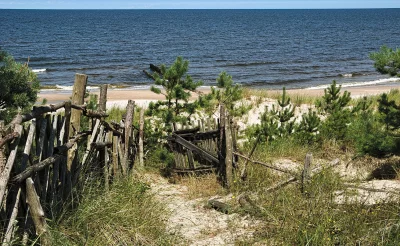 Rustic Wooden Fence and Coastal Dunes Leading to a Serene Ocean Beach image