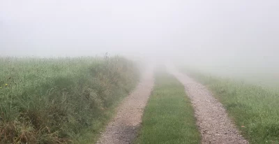 Foggy Rural Path Disappearing into Dense Mist Through a Green Meadow image