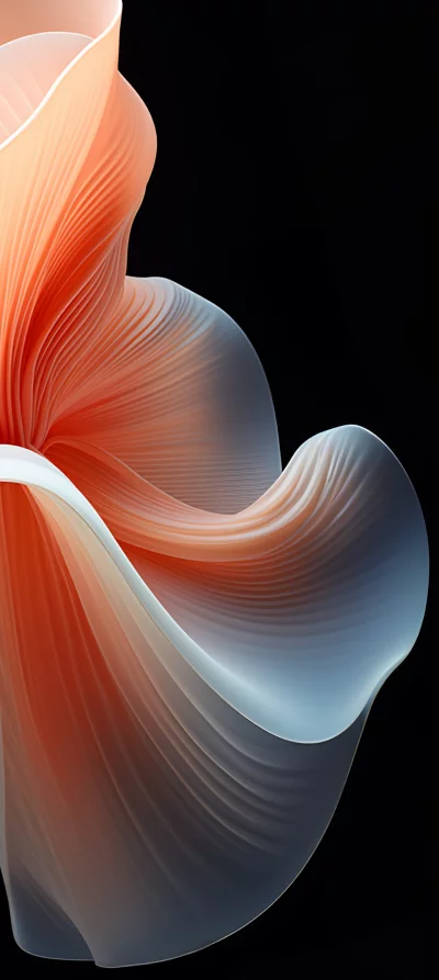 Abstract flowing organic forms with soft lighting and a dark background