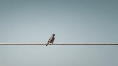 Tiny Bird Perched on a Single Power Line Against a Clear Blue Sky