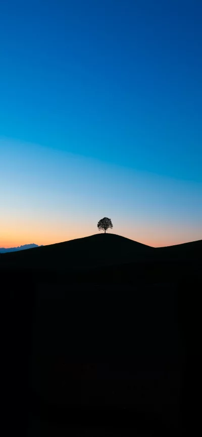 Tranquil Silhouette of Solitary Tree on Hilltop Against Vibrant Twilight Sky image