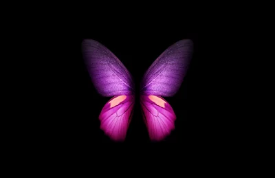 Vibrant Purple Pink Butterfly Wings Spreading in Dark Cinematic Art Style Wallpaper image