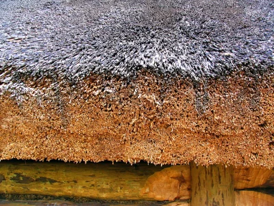 Traditional Thatched Roof Texture on Rustic Wooden Building Detail image