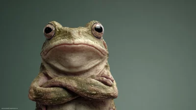 Humorous Amphibian: Close-up Portrait of a Frog with Crossed Arms on Green Background
