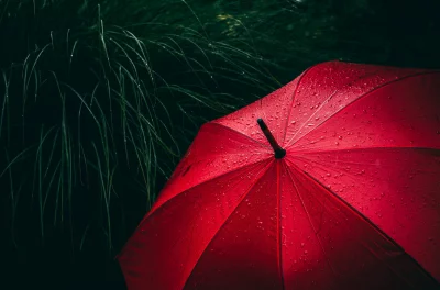 Vibrant Red Umbrella Adorned with Raindrops Against Dark Green Foliage Background image