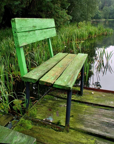Weathered Green Bench on a Mossy Wooden Pier by a Calm Forest Lake image