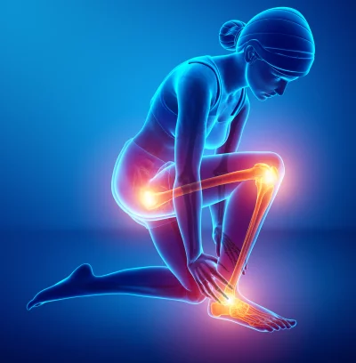 3D Medical Visualization of Female Anatomy with Glowing Ankle, Knee, and Hip Pain image