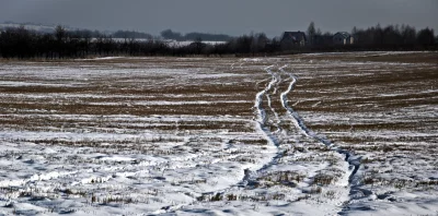 Winding Tracks Through Snow-Covered Winter Field with Distant Rural Houses image