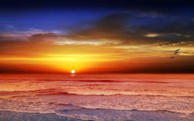 Vibrant Ocean Sunset with Flying Birds and Reflecting Waves image