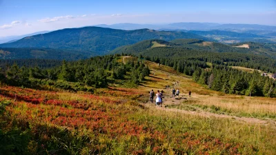 Hikers on Autumn Mountain Trail Amidst Green Forests and Clear Sky image
