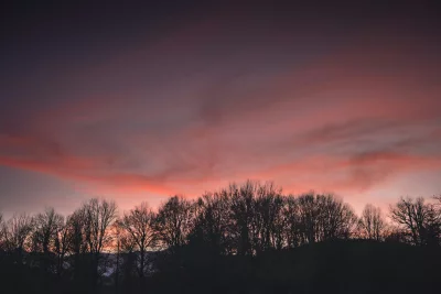 Vibrant Twilight Sky Over Silhouetted Bare Trees at Dusk
