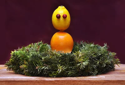 Whimsical Lemon and Orange Fruit Character with Cranberry Eyes in Festive Pine Wreath image