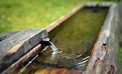 Fresh Mountain Spring Water Flowing into Rustic Wooden Trough image