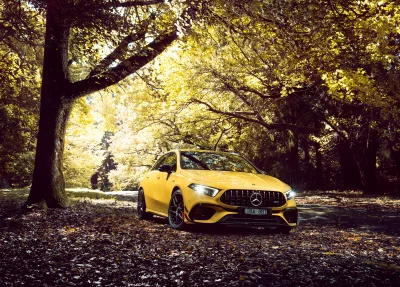 Vibrant Yellow Mercedes-AMG Luxury Car in Golden Autumn Forest image