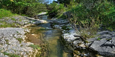 Tranquil Stream Flowing Through Rocky Forest Gorge with Lush Greenery image