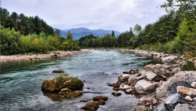 Serene Mountain River Flowing Through Lush Green Forest and Rocky Banks image
