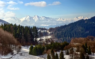 Majestic Snowy Mountain Range and Forest Landscape under Clear Sky image