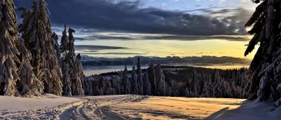 Panoramic Winter Mountain Sunset with Snow-Covered Pine Forest and Misty Valley image