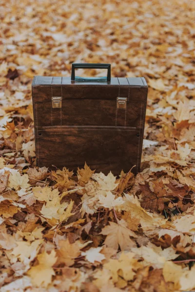 a brown leather suitcase sitting on a pile of fallen yellow leaves