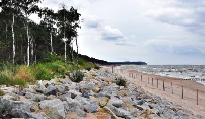 Rugged Baltic Sea Coastline Featuring Rocky Shore, Sandy Beach, Pine Forest and Cloudy Sky image