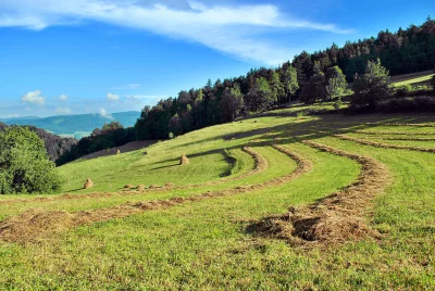 Mountainous Rural Landscape with Freshly Mown Hay and Haystacks Under a Blue Sky image