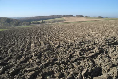 Vast Ploughed Farmland Leading to Autumnal Rural Landscape Under Clear Blue Sky image