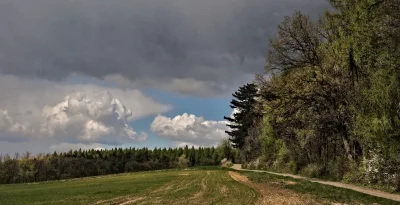 Rural Landscape with Winding Path, Green Field, Dense Forest, and Dramatic Cloudy Sky image