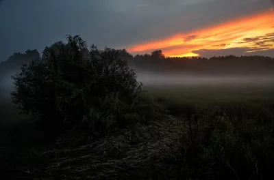 Misty Sunrise Over Rural Field with Vibrant Sky and Silhouetted Trees image