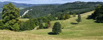 Panoramic Green Mountain Landscape with Lush Forests and White Rock Formation image