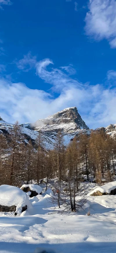 Majestic Snow-Capped Mountain Peaks Tower Over a Winter Forest