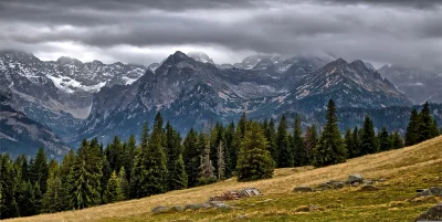 Jagged Mountain Ridges with Forest and Gloomy Skies image
